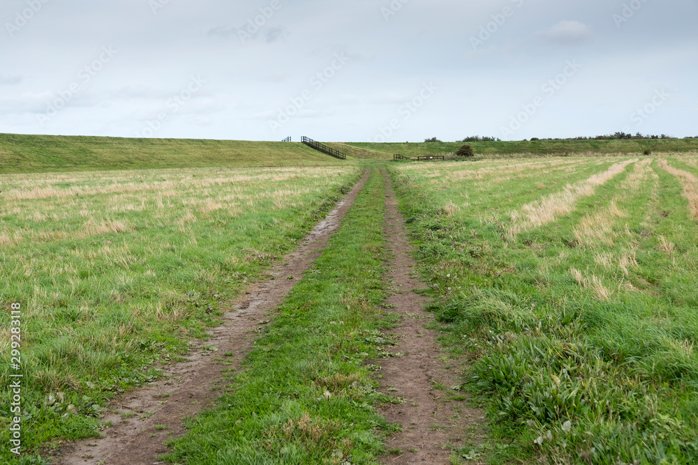 Farm track crossing a grass field