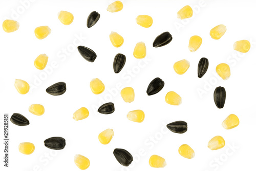 Yellow corn seeds and sunflower seeds on a white background, top view