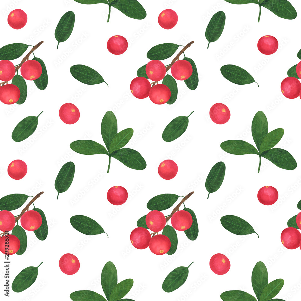 Seamless pattern Berries Cranberry branch leaves watercolor botanical illustration background wallpaper