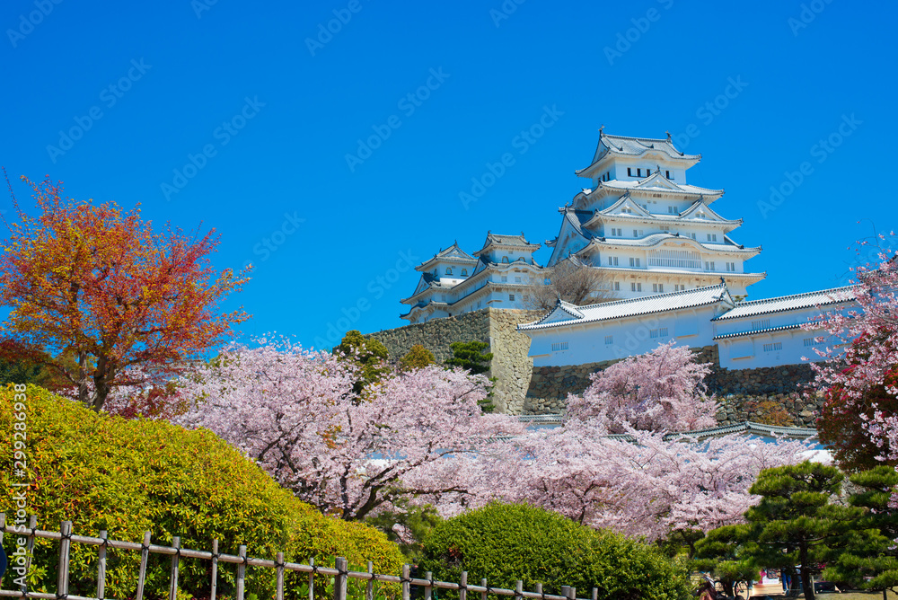 Cherry Blossom season in Himeji Castle, Hyogo, Kansai, Japan. Cherry Blossom season in Himeji Castle, Hyogo, Kansai, Japan.