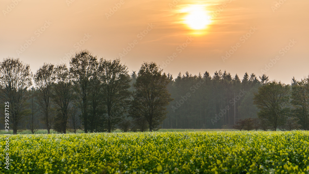 Obraz premium Sonnenuntergang im Herbst