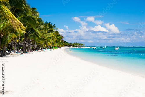 Tropical beach with palms, blue ocean and sky