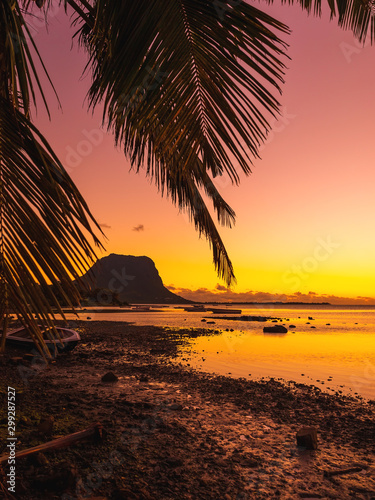 Sunset and coconut palm leaves with Le Morn mountain on background in Mauritius.