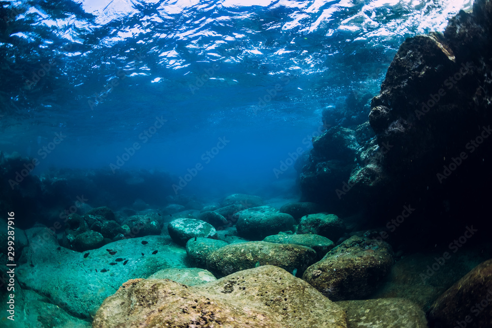 Fototapeta premium Tranquil underwater scene with copy space. Tropical transparent ocean with rock and stone