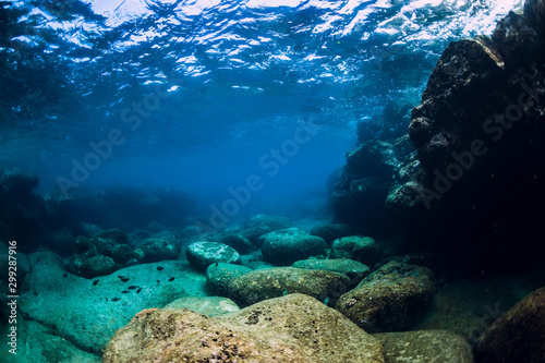 Tranquil underwater scene with copy space. Tropical transparent ocean with rock and stone