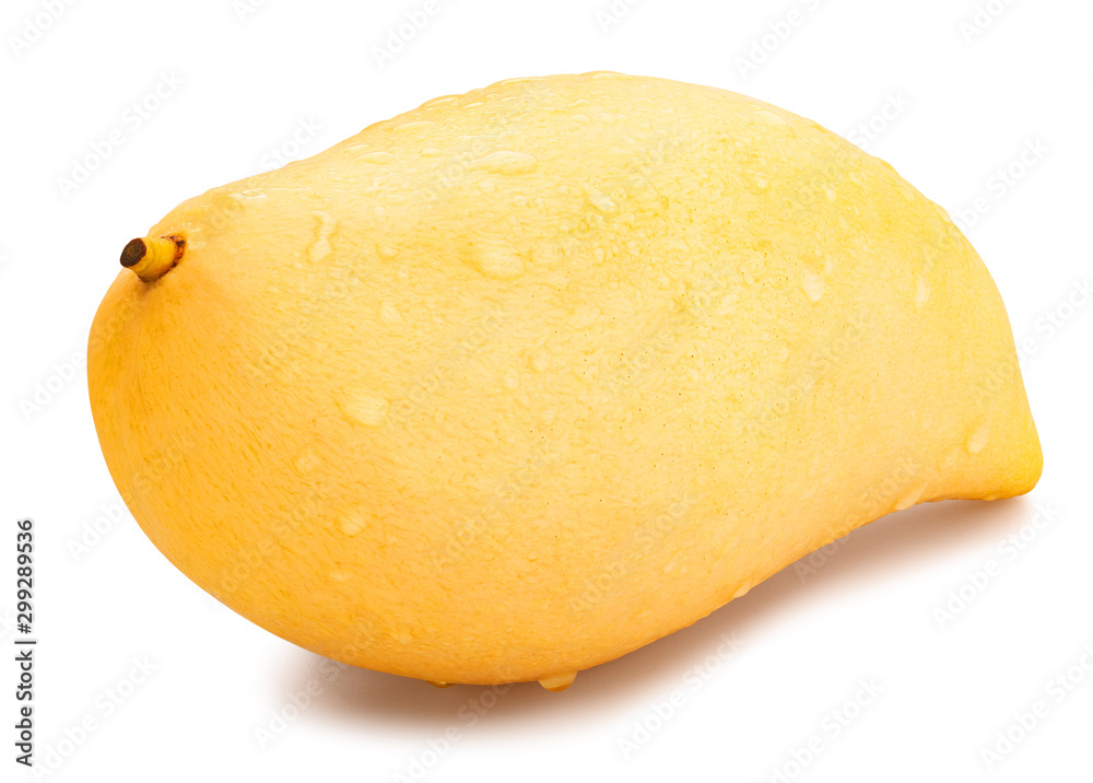 yellow mango yellow mango