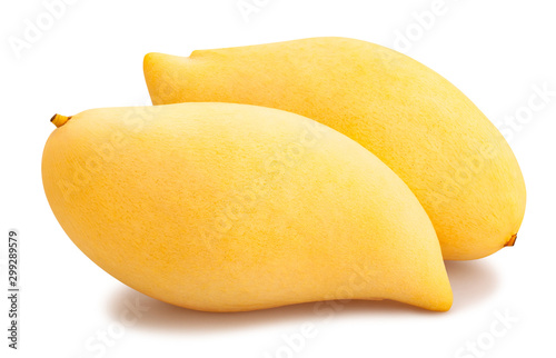 Obraz na płótnie yellow mango