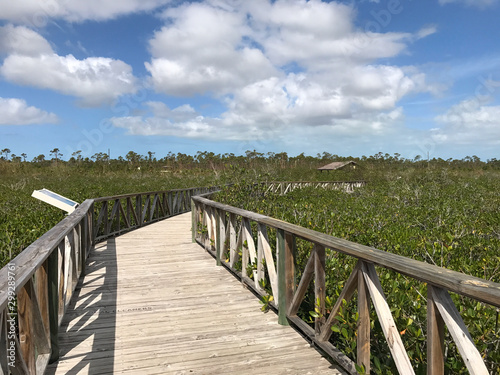 Beautiful wooden path for walking  trekking or biking in National Park