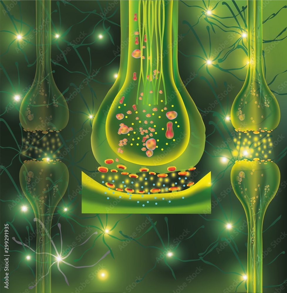 3D synapse and Neuron cells. Transmission signal of impulse in a living ...