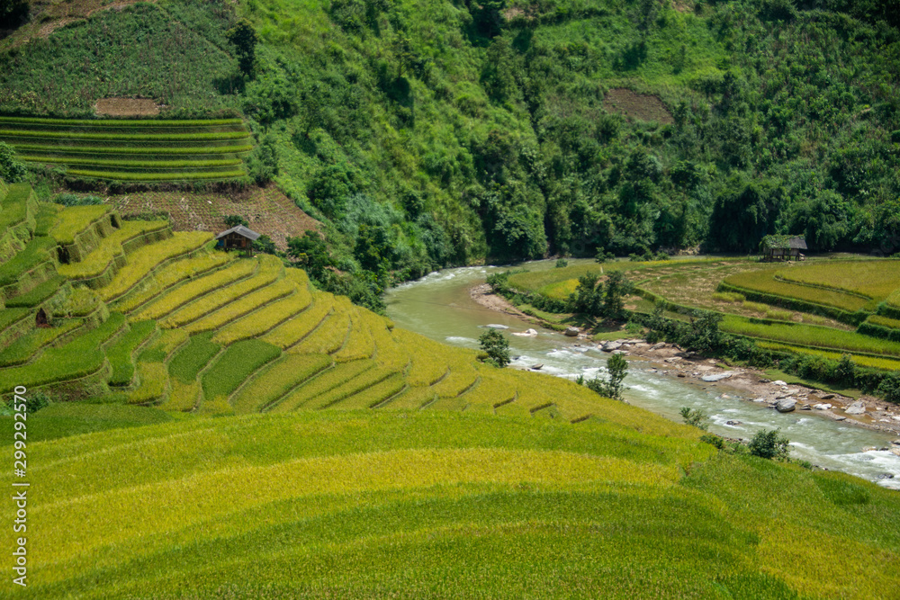 beautiful view of rice terrace in Mu Cang Chai, Vietnam, farmer implant on high mountain. soft focus.