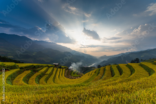 beautiful view of rice terrace (Doi Mong Ngua, diem chup lua view point) in Mu Cang Chai, Vietnam, farmer implant on high mountain. soft focus. photo