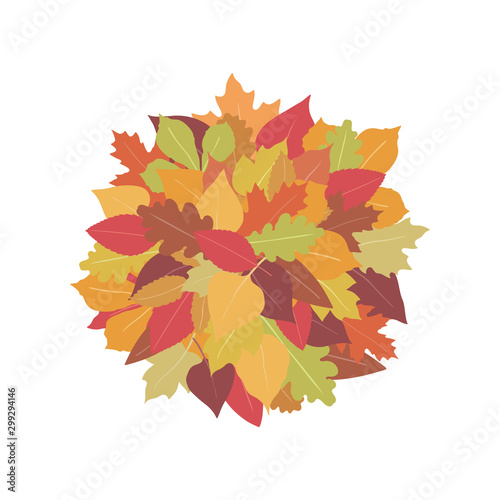 A pile of autumn leaves
