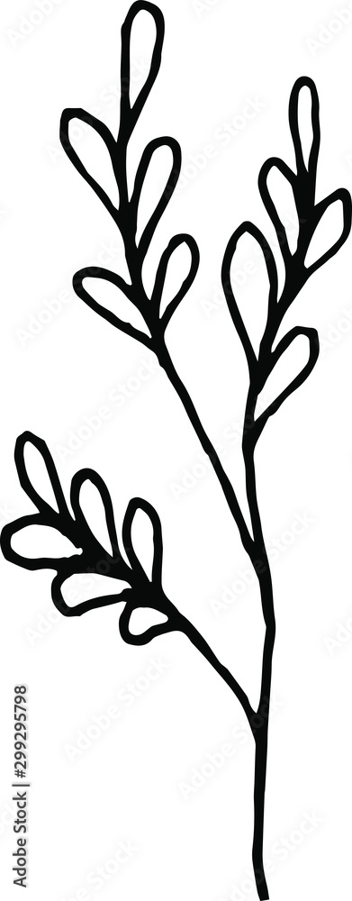 Tiny Leaves Plants Hand drawn vector illustration for logo, invitations, graphic design