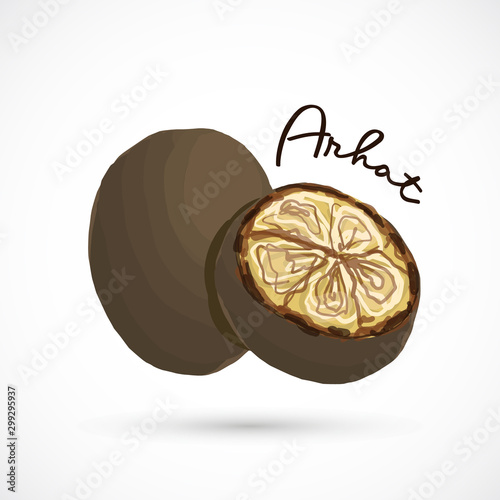Monk fruit siraitia herb plant vector traditional