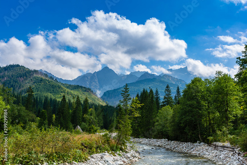 Natural summer mountain landscape, river flowing through the forest in the valley.
