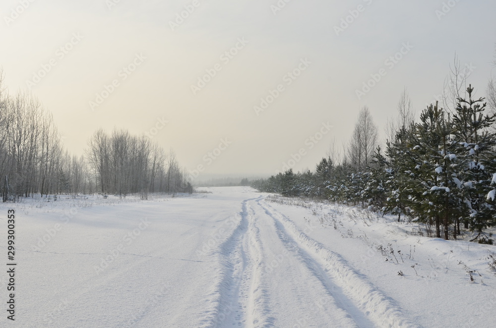 Awesome winter landscape. A snow-covered path among the trees in the wild forest. Winter forest. Forest in the snow. Awesome winter landscape. A snow-covered path among the trees in the wild forest. Winter forest. Forest in the snow.