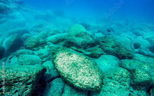 Fotografie Rock underwater on the seabed in the Mediterranean sea, natural scene