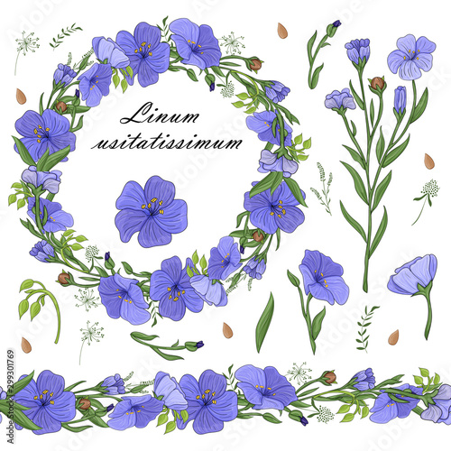 floral set of seamless floral brushes from flax flowers and a beautiful wreath