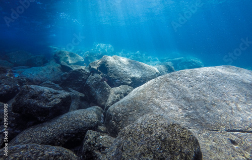 Wallpaper Mural Rock underwater on the seabed in the Mediterranean sea, natural scene. Underwater photography. Torontodigital.ca