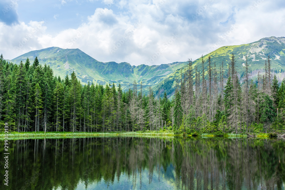 The natural surroundings of the pond (Smreczynski Staw) in the Western Tatras.