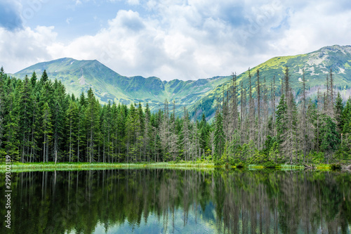 Fototapeta Naklejka Na Ścianę i Meble -  The natural surroundings of the pond (Smreczynski Staw) in the Western Tatras.