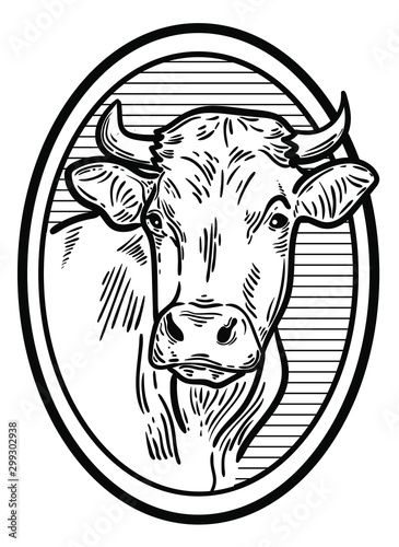 vector illustration of farm animal cow head, ideal for label, logo, sketch style illustration