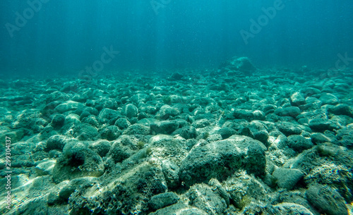 Obraz na plátne Rock underwater on the seabed in the Mediterranean sea, natural scene