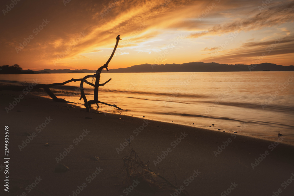 琵琶湖の浜の夕景と流木のシルエット