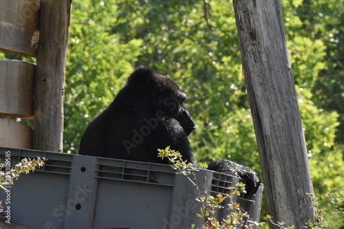 Beauval