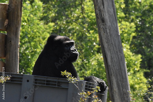 Beauval