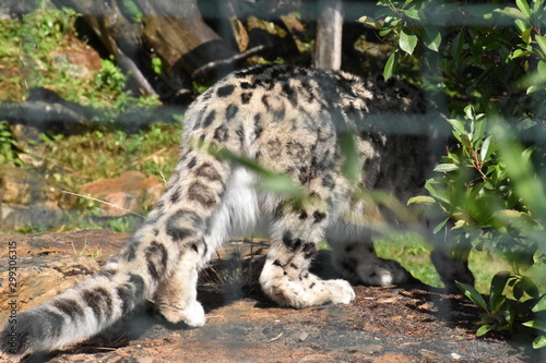 Beauval