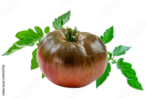 Vászonkép Studio shot of black crimean tomatoes with leaves on white