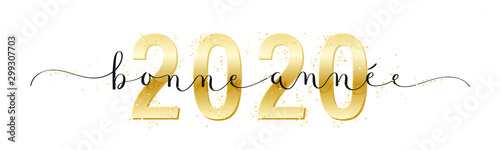 Calligraphie vecteur BONNE ANNEE 2020