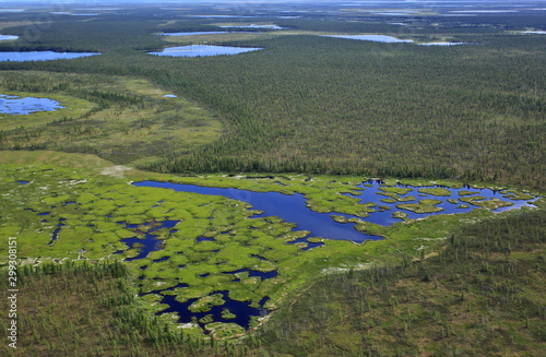 Tundra landscape in summer, Taymyr peninsula, aerial view
