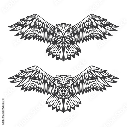 Owl. Flying owl hand drawn vector illustrations set. Owl stylized logo and symbol.