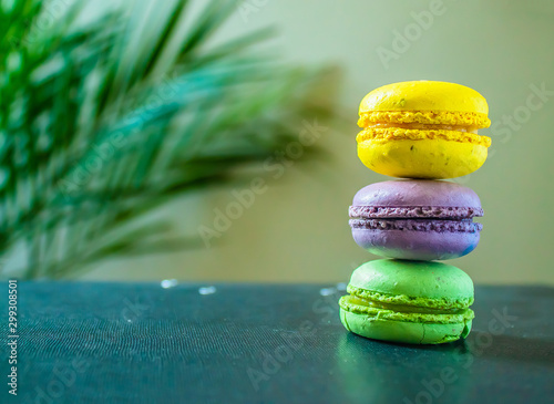 three macaroons cookies on a dark background with a palm tree at the back. Copy space. photo