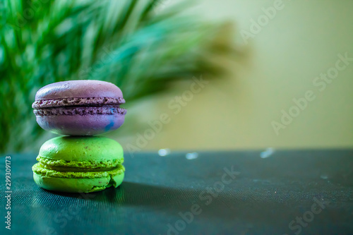 two macaroons cookies on a dark background with a palm tree at the back. Copy space. photo