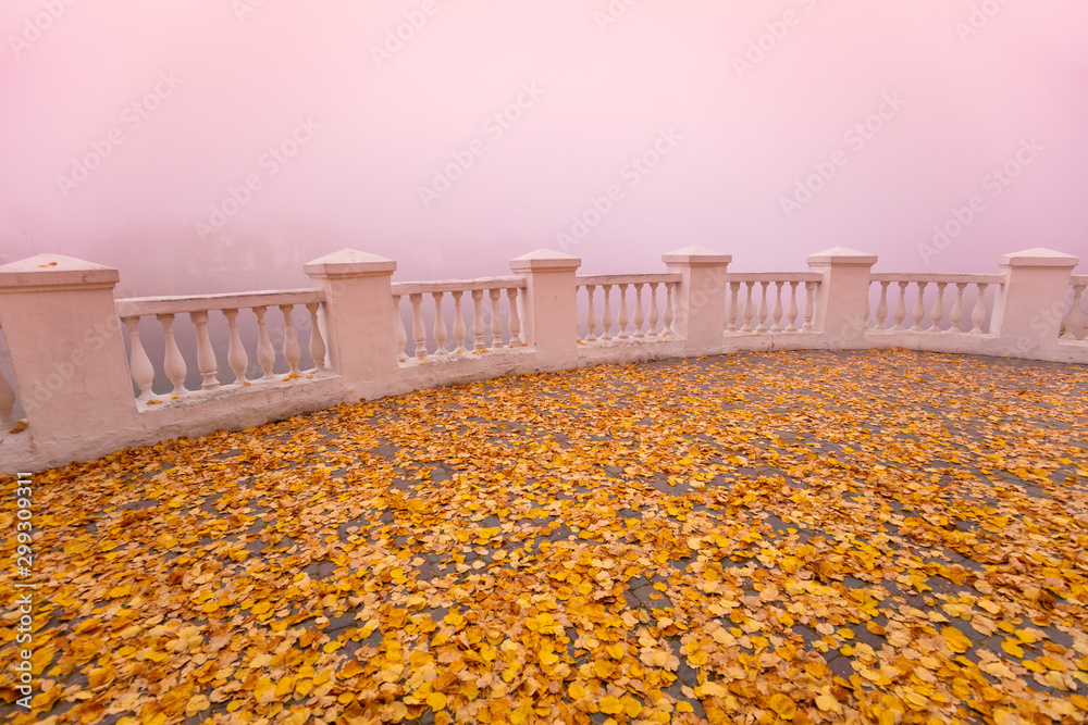 Autumn carpet from dry orange leaves. Fallen leaves on the terrace in the foggy morning. Autumn concept