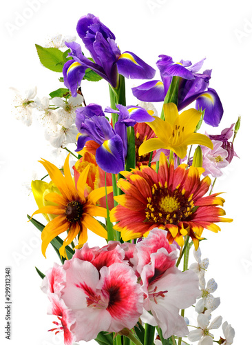 isolated image of bouquet of flowers on white background