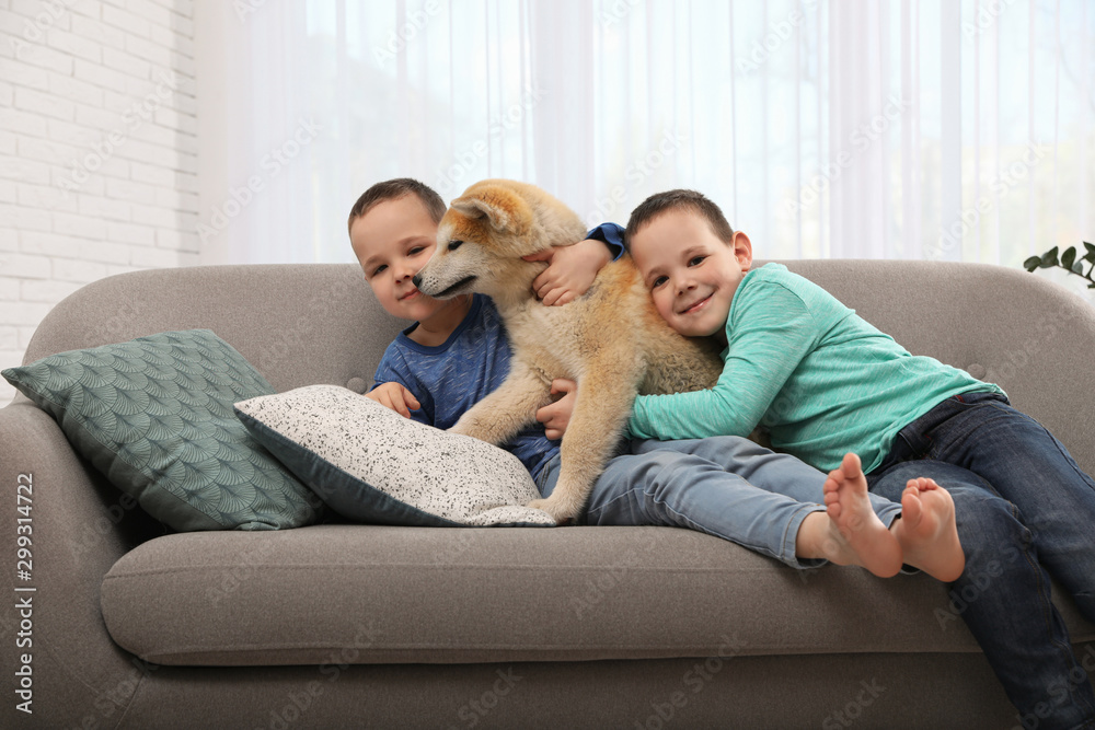 Happy boys with Akita Inu dog on sofa in living room. Little friends Happy boys with Akita Inu dog on sofa in living room. Little friends