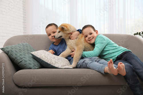 Happy boys with Akita Inu dog on sofa in living room. Little friends © New Africa