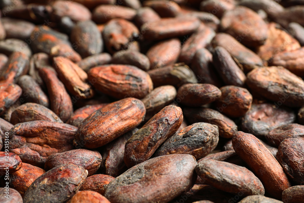 Tasty cocoa beans as background, closeup view