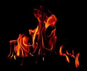 Flame of fire on a black background