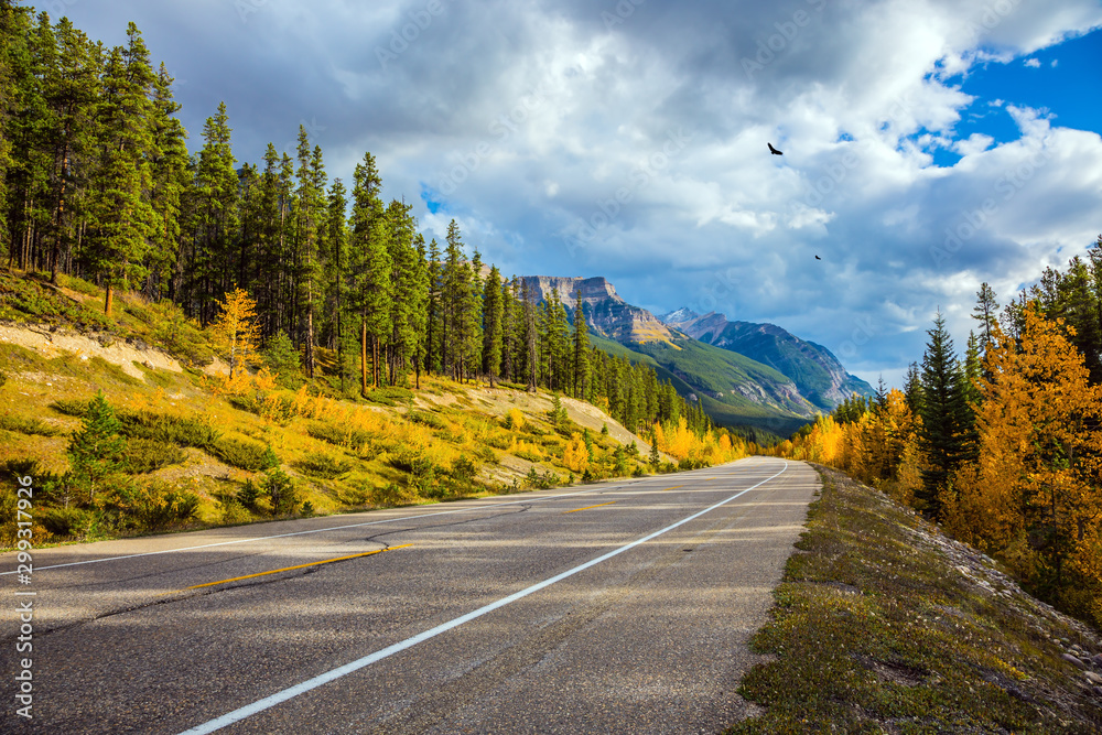 Excellent highway