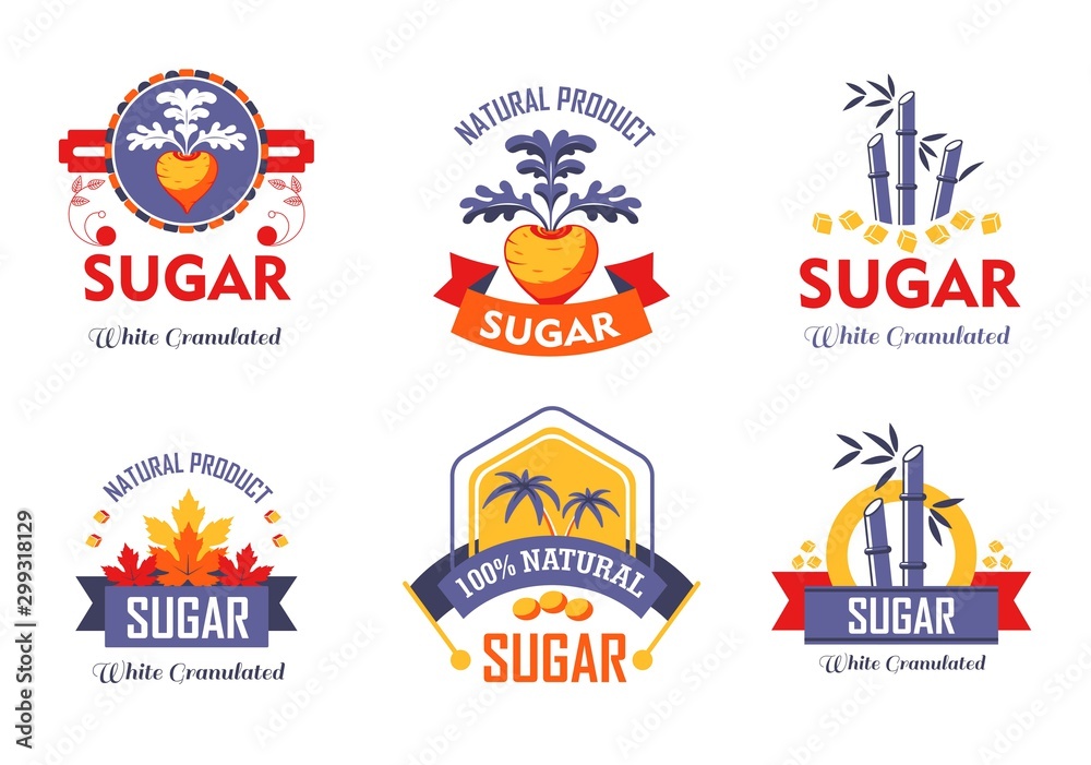 Fototapeta premium Sugar cane beetroot and maple isolated icons farming and agriculture