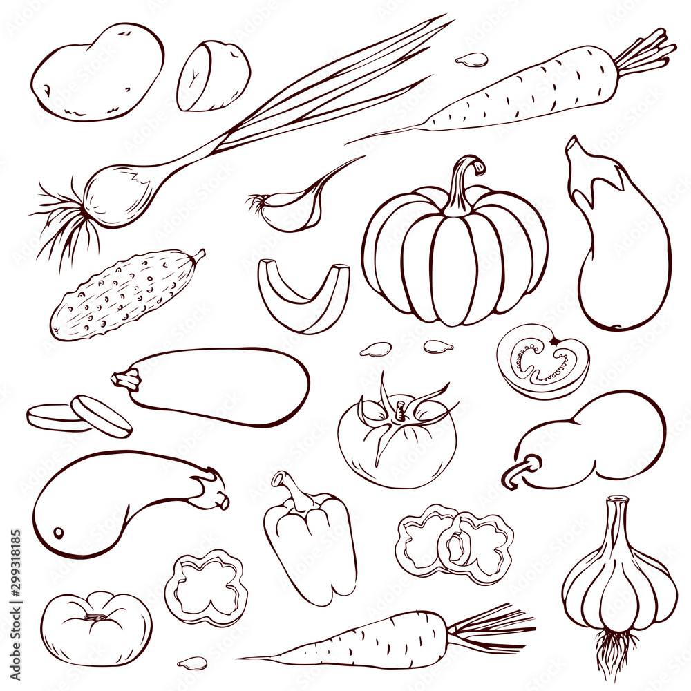 fruits sketch for colouring - Clip Art Library