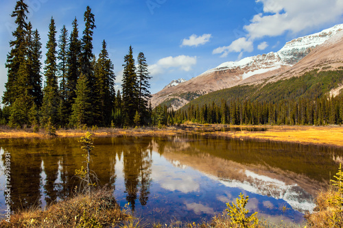 Fototapeta Naklejka Na Ścianę i Meble -  Autumn trip to the Rockies of Canada