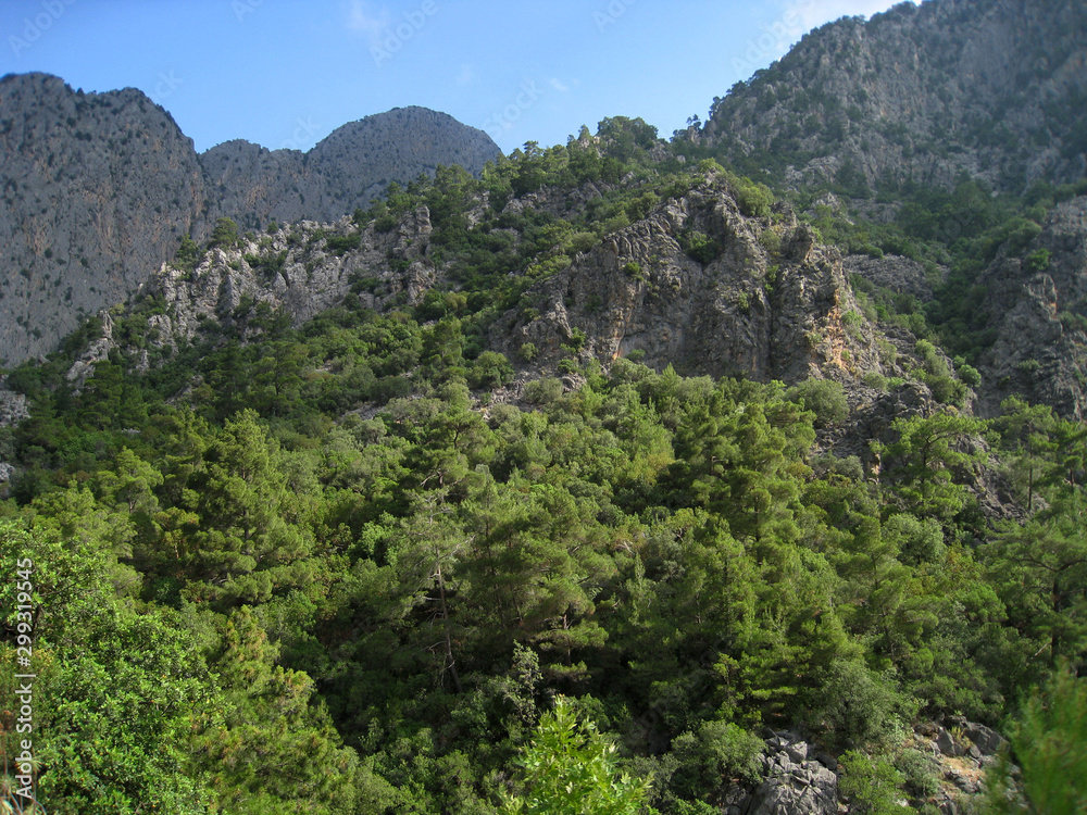 view of mountains