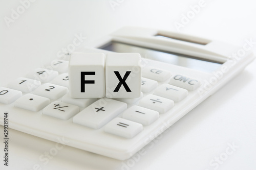 Obraz na plátně FX