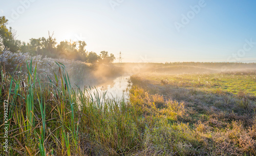 Canal with reed in a rural landscape in sunlight below a blue sky at sunrise in autumn